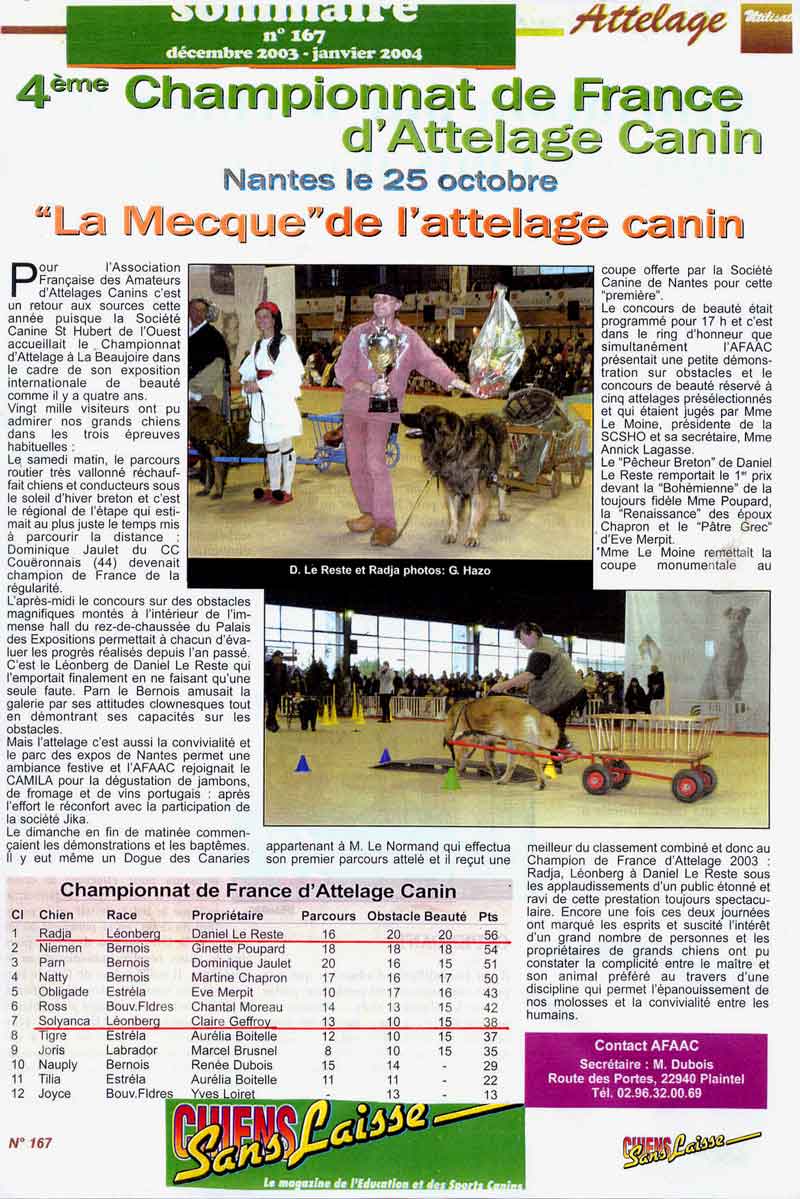 Leonberg Champion de France d'attelage, Radja an Nor Digor
