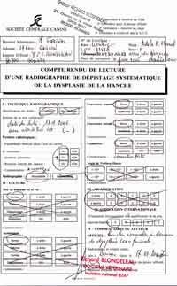Dysplasie Coxo-fémorale A/A