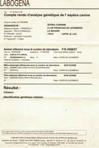Identification génétique