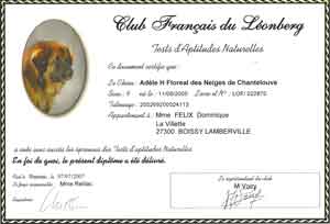 TAN en France