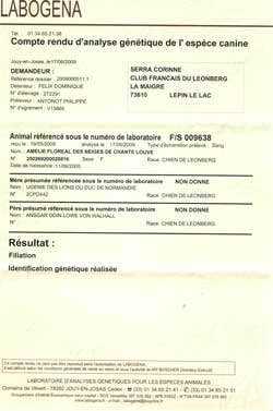 Identification génétique