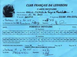 Carte dentaire complète