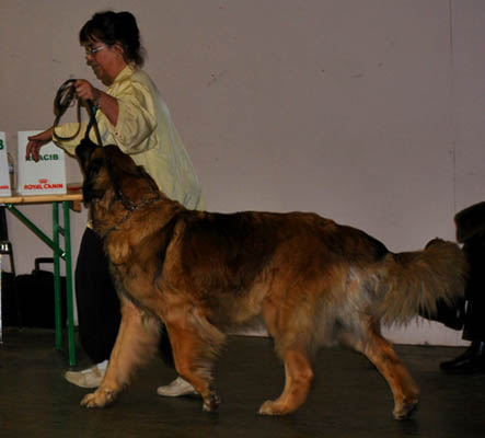 Amélie à Rouen en 2010
