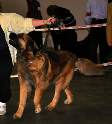Amélie à Rouen en 2010