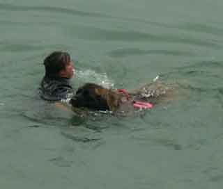 Leonberg Antonin, en démo à la Fête de la Mer, à Fécamp en 2007. Leonberg Antonin en démo à la Fête de la Mer, à Fécamp en 2007.