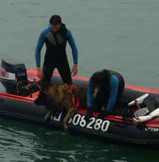 Leonberg Antonin, en démo à la Fête de la Mer, à Fécamp en 2007. Leonberg Antonin en démo à la Fête de la Mer, à Fécamp en 2007.