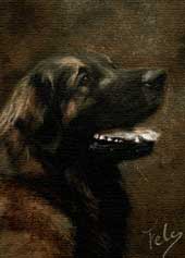 Pastel animalier. Portrait d'un Leonberg 