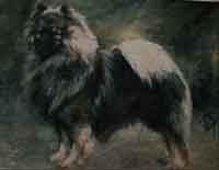 Pastel animalier. d'un Eurasier 