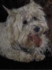 Pastel animalier. Portrait d'un Westie