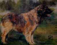 Pastel animalier. Portrait d'un chiot Leonberg 