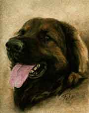 Pastel animalier. Portrait d'un Leonberg 