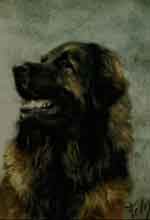 Pastel animalier. Portrait d'un Leonberg 