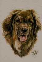 Aquarelle animalière. Portrait de Fantin Leonberg
