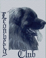 Projet pour le logo du Club Belge du Leonberger. Pastel ralis en fvrier 1994