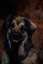 Pastel animalier. Portrait d'un Leonberg 