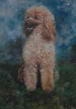 Pastel animalier. Portrait d'un caniche