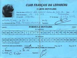 Carte dentaire complète