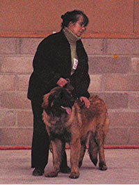 La première exposition canine d'Antonin