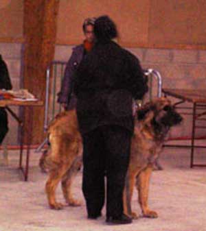 CACIB  Alenon en 2005