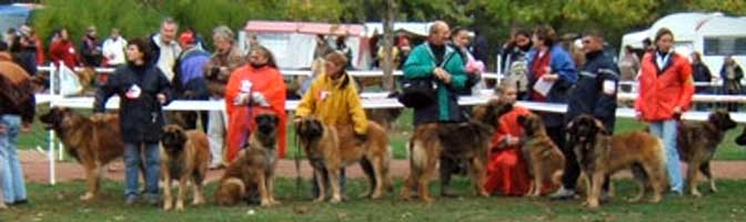 Uppeline  Cluny en 2005, 4ime en partant de la gauche