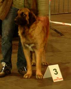 Rouen 2005