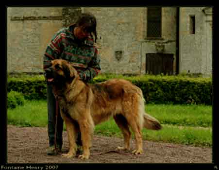 Amélie à Fontaine-Henry en 2007