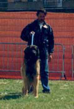Spciale Leonberg Dieppe 93
         Classe Ouverte
