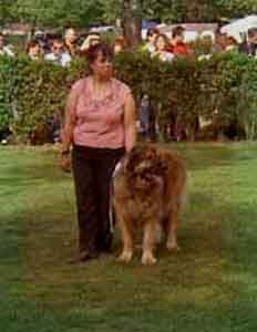 Vnrable Leonberg Jourdaine  Cluny 2004