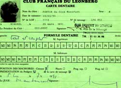 Carte dentaire recto