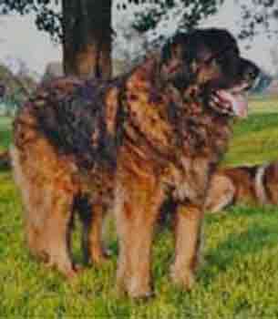 Fantin fte ses 11 ans
