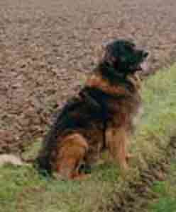 Fantin  4 ans