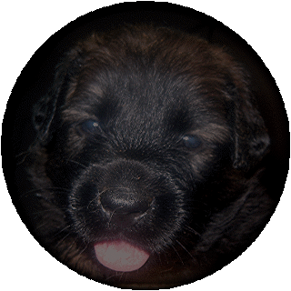 Bb blanc neige, la future Alizee
