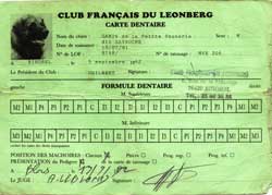 Carte dentaire recto