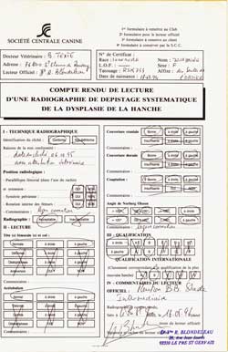 Dysplasie Coxo-fémorale A/A