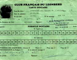 Carte dentaire recto