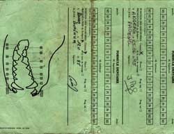 Carte dentaire verso