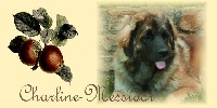Le blog de notre Charline Messidor. Elle  vous invite  lui rendre visite sur son blog priv. Charline fille d'Eugnie et Anouk devient une joilie belle jeune fille Leonberg. alors il ne faut pas louper ce blog, surtout pas