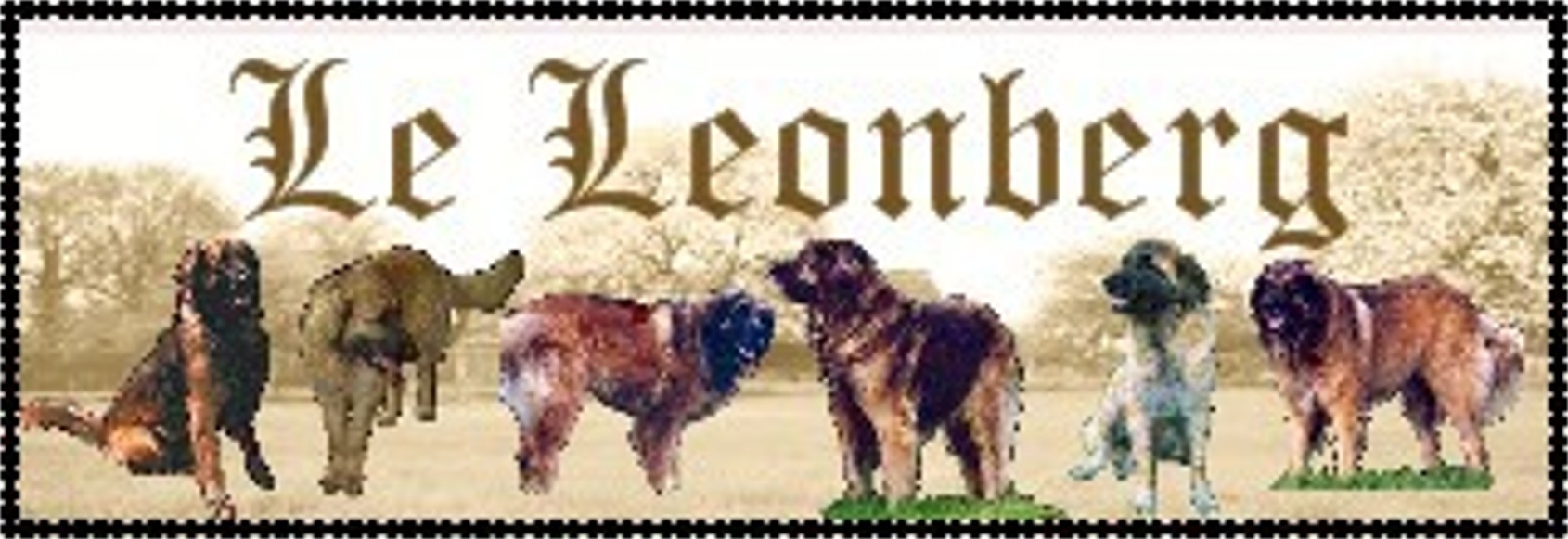 A la rencontre du leonberg, notre forum