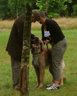 Charline,jeune Leonberg examine par M Cassaghi  Bannac en 2008