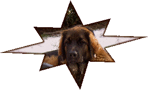 Eugnie, leonberg comte