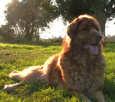 Du haut de ses dix ans, Odile contemple son domaine