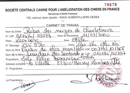 Leonberg Robin concourt pour le titre de Champion régional de Bourgogne de sauvetage aquatique. Recherche du plongeur, départ bateau.