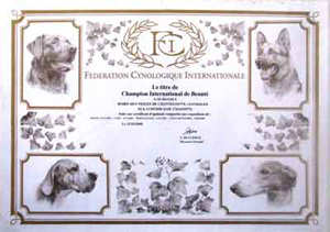 Titre de Champion International de beauté