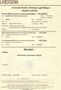 Identification génétique