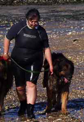 Notre Leonberg Robin en concours de travail  l'eau  Angoulins en 2009 russit, 9 ans passs, son deuxime degr de sauvetage aquatique. Epreuve de travail au sol