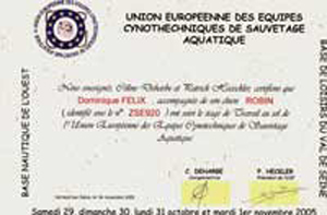 Diplôme de stage de travail au sol pour sauvetage aquatique