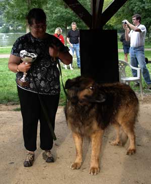 Leonberg Robin en sauvetage aquatique réussit son premier degré et, classé 3ième sur 9, avec mention excellent, reçoit une coupe bien méritée.