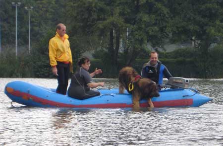 Leonberg Robin concourt pour le titre de Champion rgional de Bourgogne de sauvetage aquatique. Recherche du plongeur, dpart bateau.