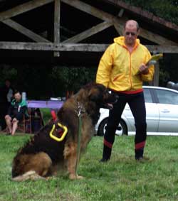 Leonberg Robin concourt pour le titre de Champion rgional de Bourgogne de sauvetage aquatique. Travail au sol.