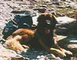 Socrate dans le Queyras en 1986